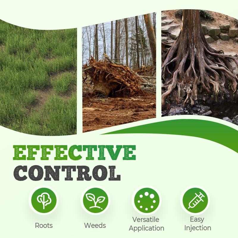 🔥BUY 1 GET 3 FREE🔥Powerful Ready-Mixed Weed & Root Killer